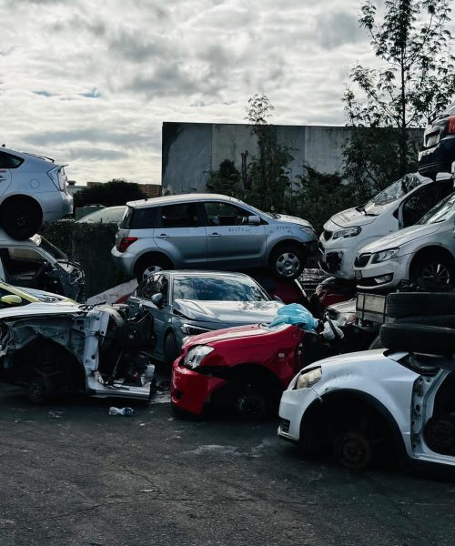 WhatsApp Image 2025-08-03 at 10.13.27 AM